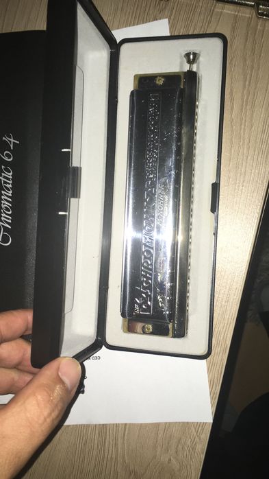 Gaita musical profissional