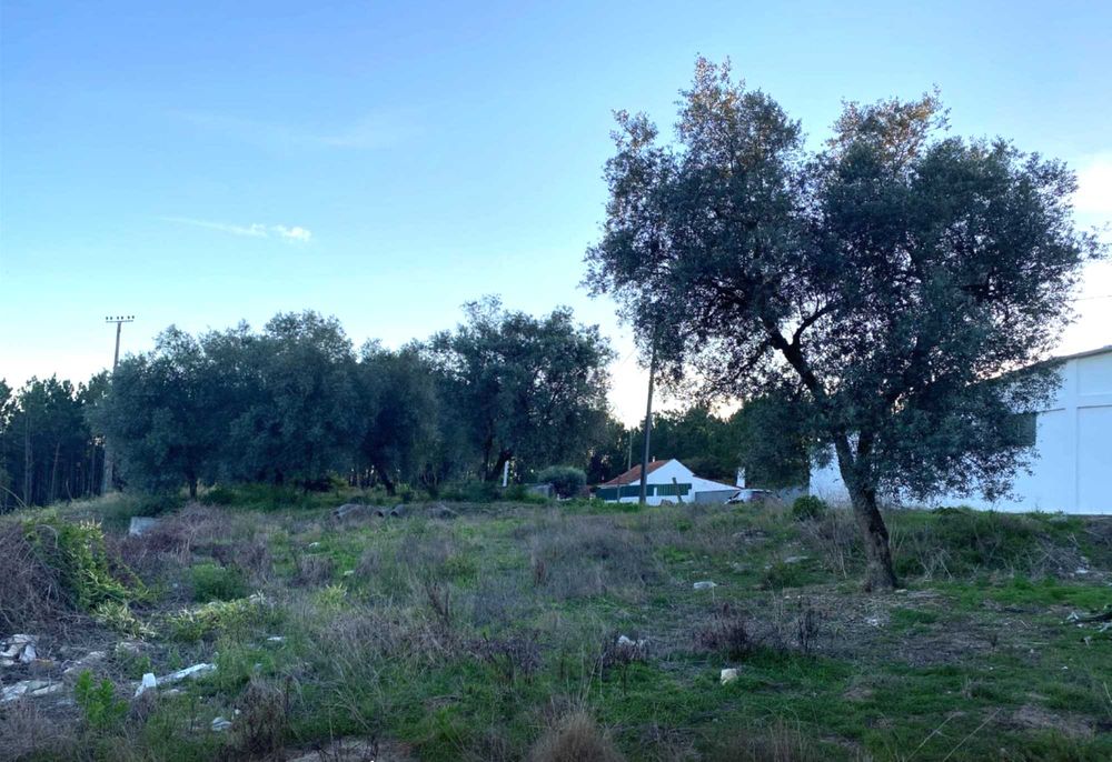 Excelente lote de 580m² em A-do-Barbas, ideal para construção de moradia unifamiliar isolada com excelente exposição solar