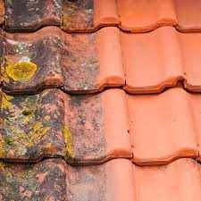 Limpeza de telhados e terrenos