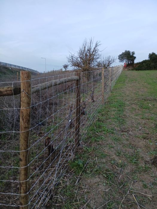 Vedação e Limpesa de terreno