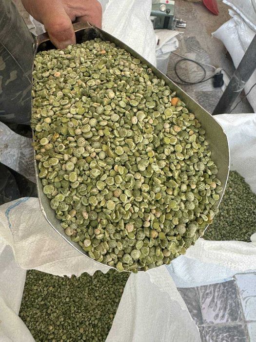 Жовтий горох крупа, горохова мучка