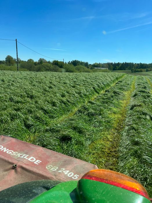 Sianokiszonka z traw sianych najlepsza jakość !!!