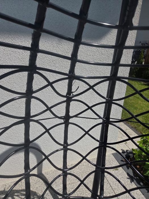 Bujawka kokon sprzedam