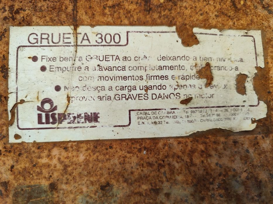 Guincho Grua ou grueta eléctrica 300 kg