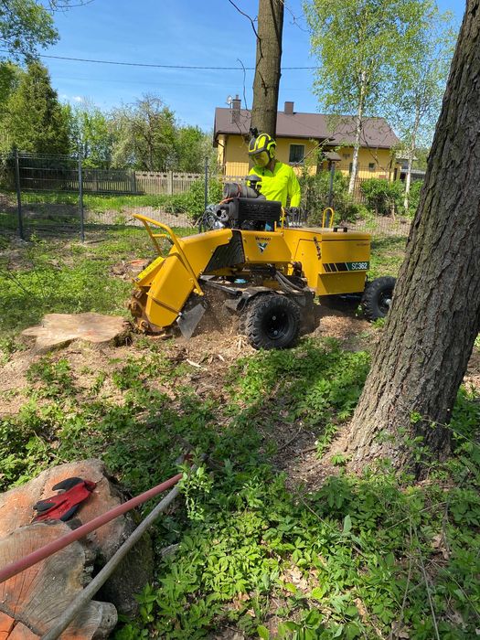 Frezowanie usuwanie pni korzeni karp usługa frezarką wycinka rębak