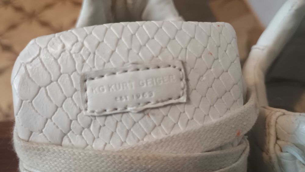 Balenciaga Arena Low