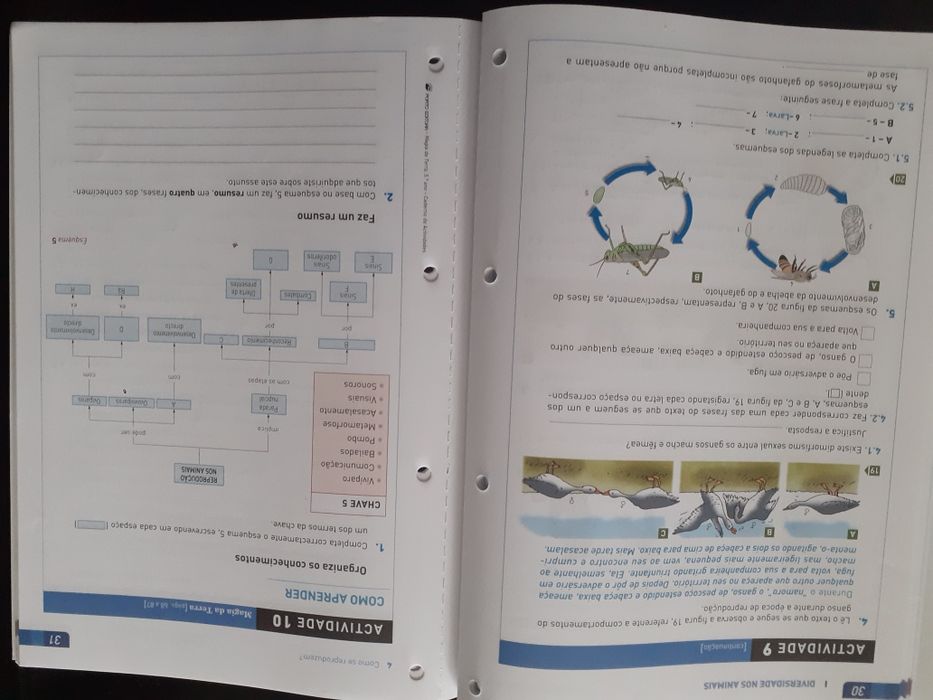 Manual e caderno de atividades Magia da Terra - Ciências 5º ano