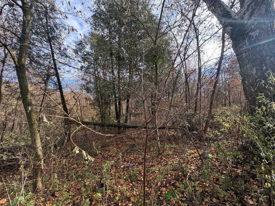 Продається ділянка в с.Жорниська біля с.Домажир, 70 сот, промзона