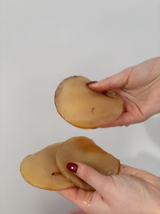 Kombucha grzyb dla p. Piotra rezerwacja