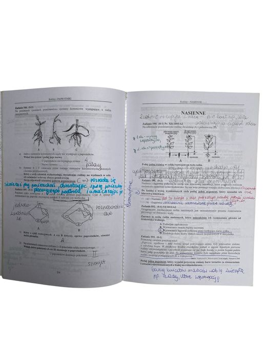 Biologia Witowski 2