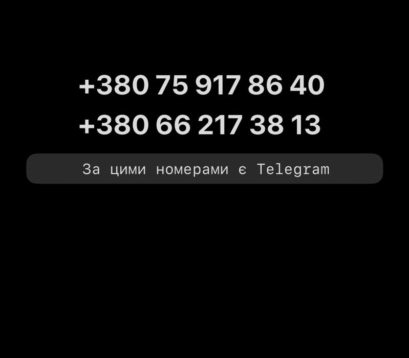 Цуценята німецької вівчарки
