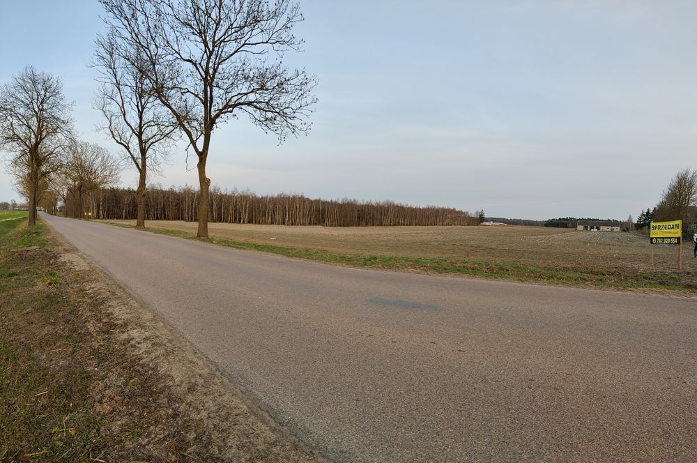 Zdjęcie 6