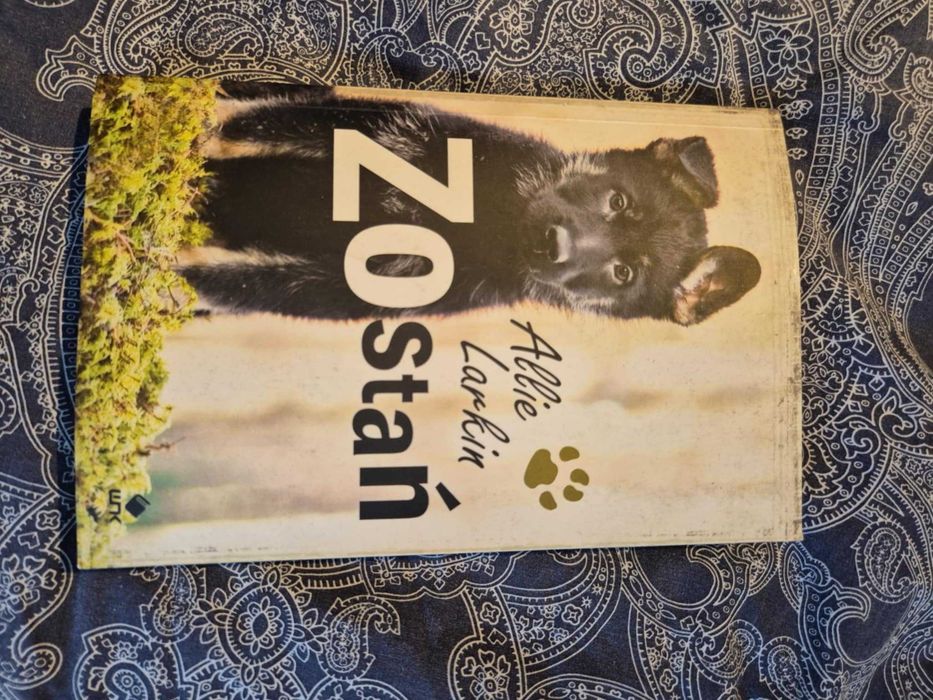 Zostań - Allie Larkin,