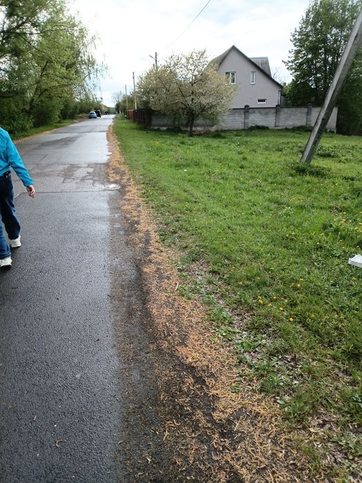 Продаю будинок який знаходиться в 10 км від міста Луцька