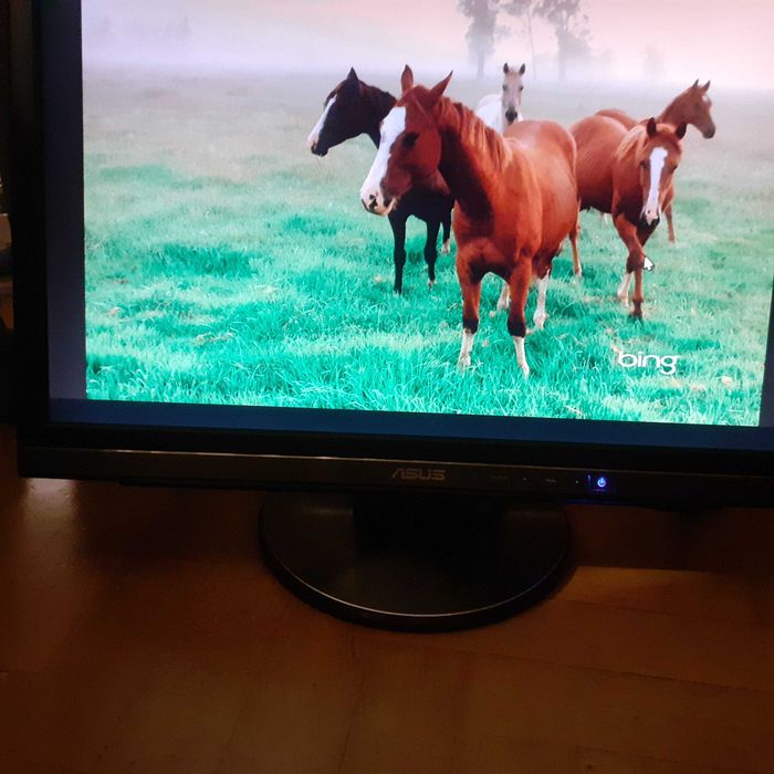 monitor 22" Asus MW221U