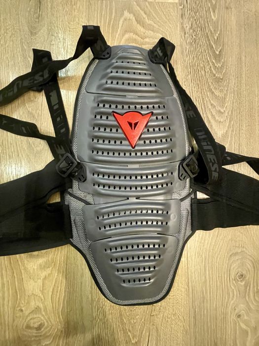 Наколенники защита спины Dainese Alpinestars