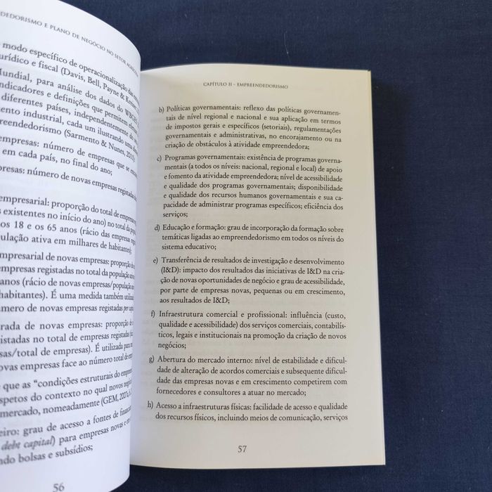 Rua e Pinto - Empreendedorismo e Plano de Negócio no Setor Agrícola
