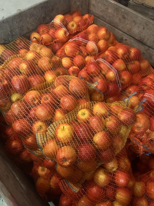 Sprzedam jablka JonaPrinc