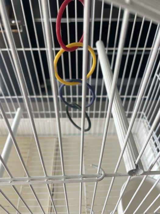 Gaiola grande para Pássaros com brinquedo