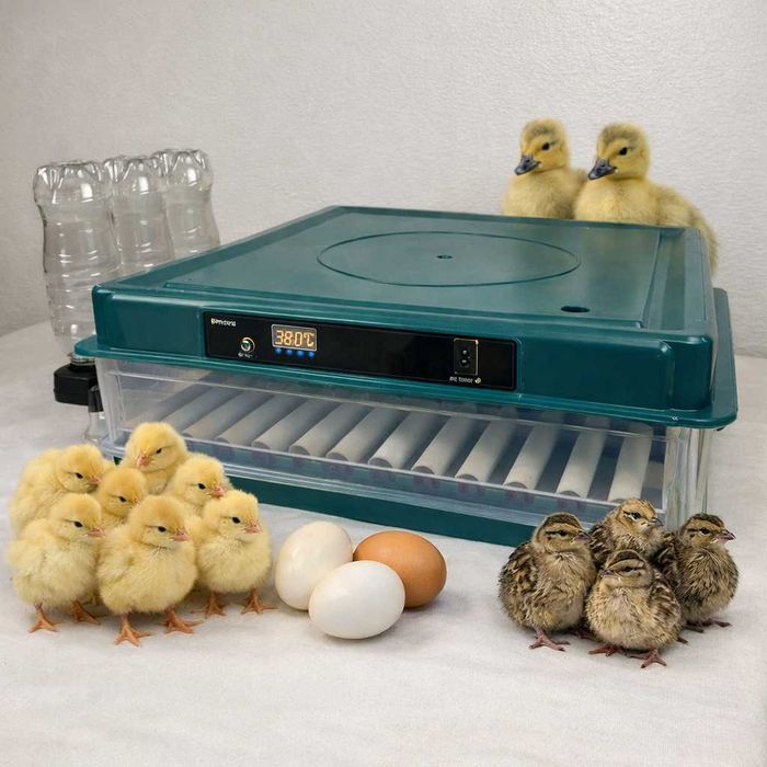 Инкубатор автоматический 12-220В Птаха Інкубатор автоматичний овоскоп