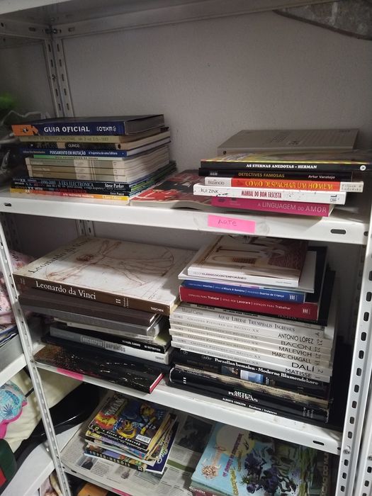 Lote de livros varias temáticas