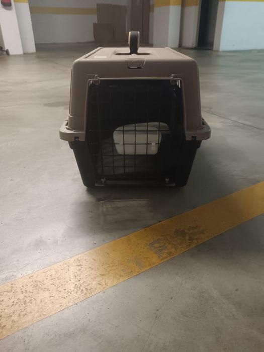 Caixa transportadora