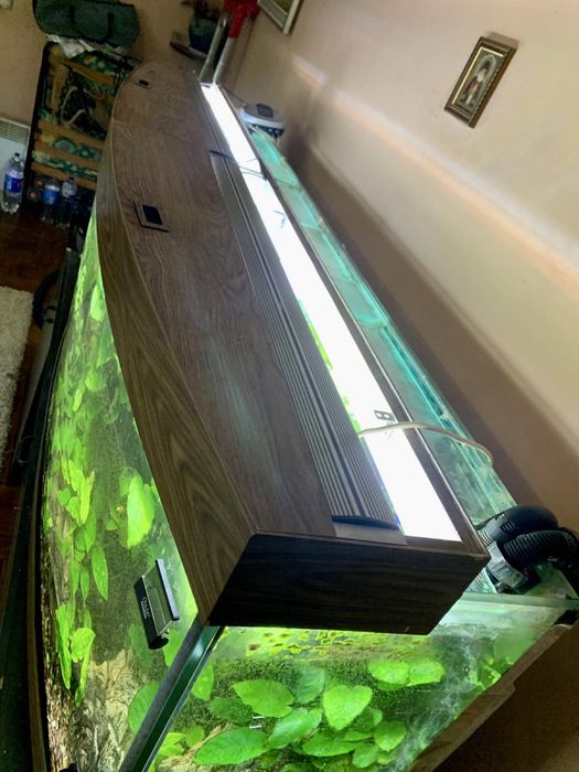 Панорамний акваріум 750л.