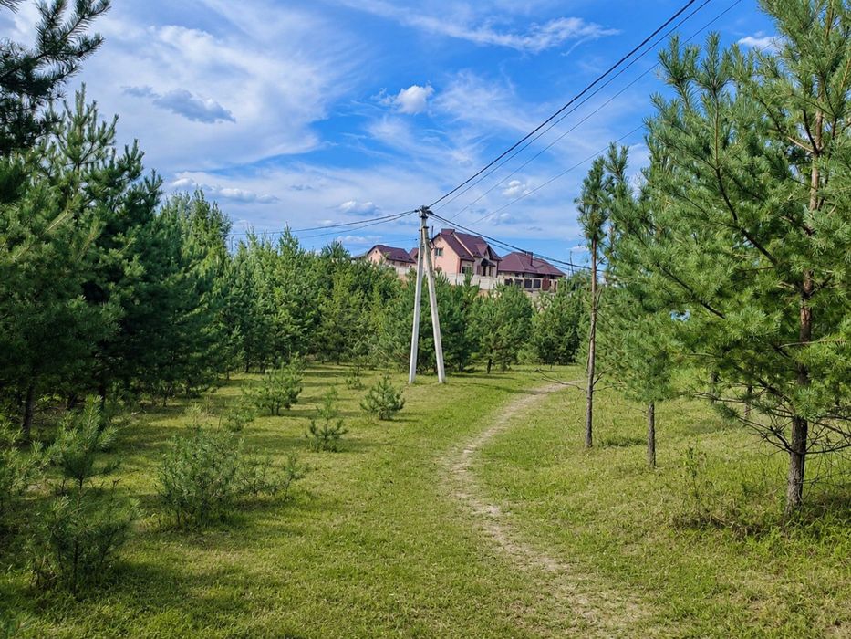 ‼️ Ділянка 10 соток ‼️ Власний ліс