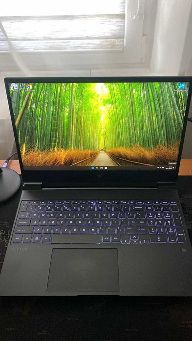 HP Victus 15 | Ryzen 5 5600H | RTX 3050 | 32 GB RAM | SSD 1 TB