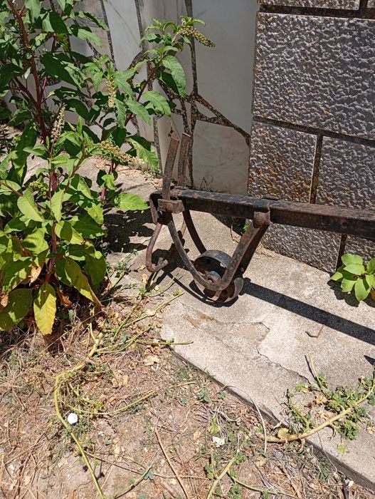 Charrua antiga,melhor oferta