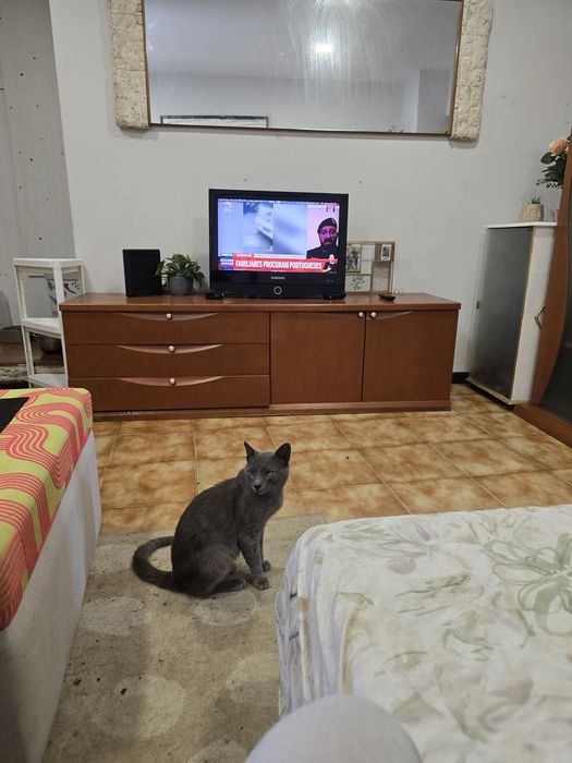 Para adopção responsável