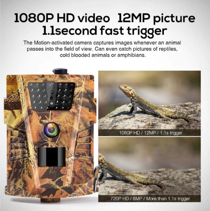 Camara de Caça Javali