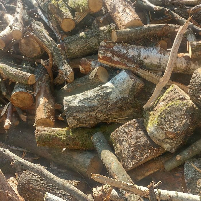 Sprzedam drzewo mieszane