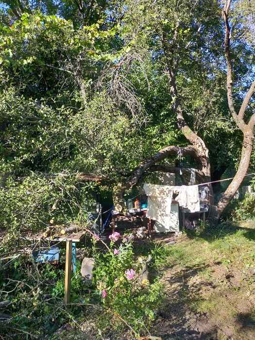 Продам дачу в Глевахе