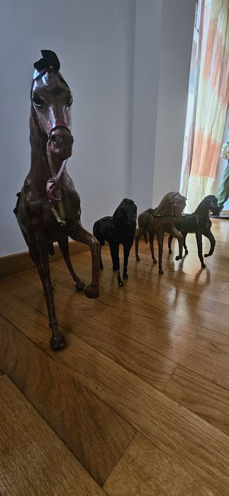 Conjunto de cavalos