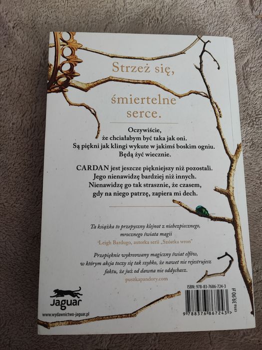 Okrutny Książę Holly Black