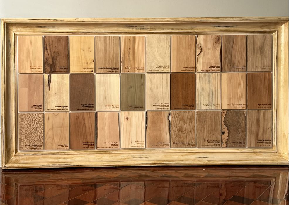 Amostras de madeira / Xiloteca