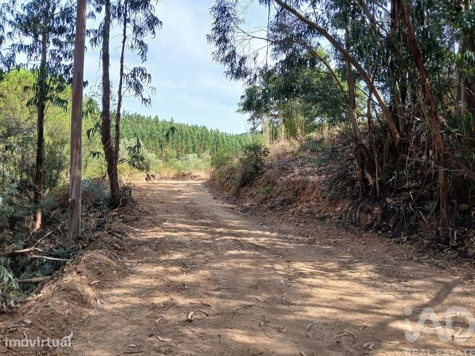 Quinta rural T1 em Sabóia de 80 m2