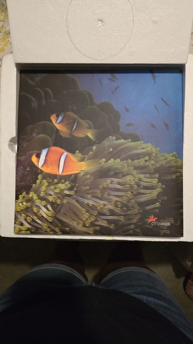 Livro "Portugal em Selos" completo - 1998