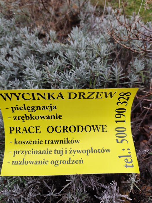 Usługi ogrodnicze, wycinka drzew