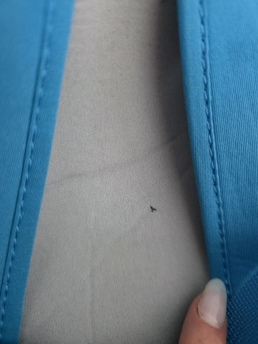 Niebieski Dziecięcy plecak rekin baby shark plecak 3D dla dziecka