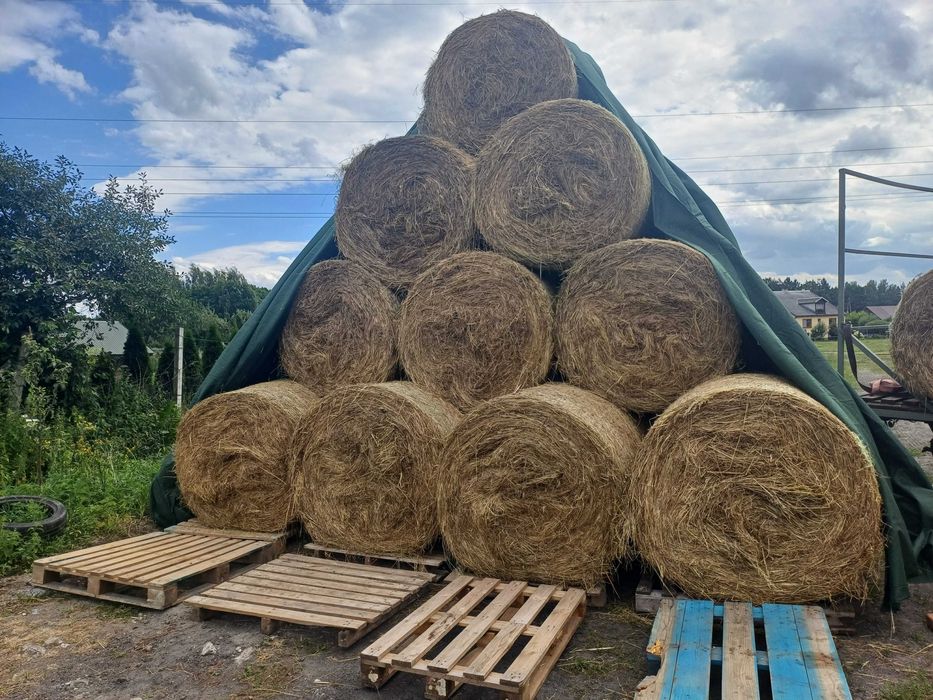 Sprzedam siano 120