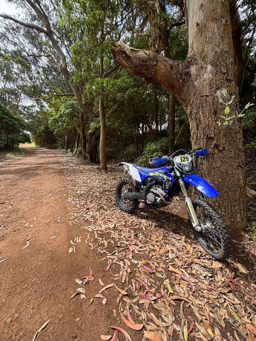 Mota sherco 250 4t