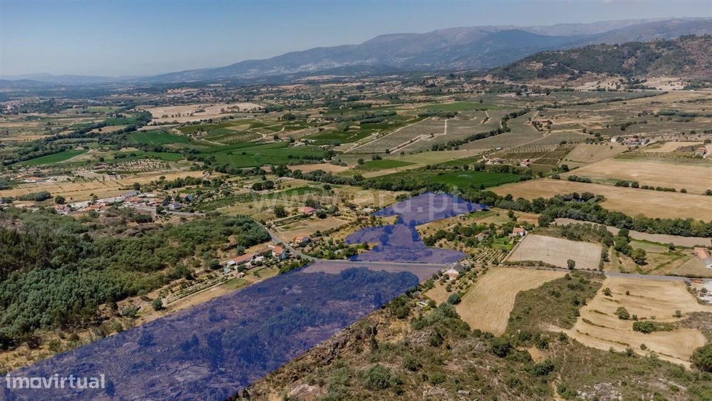 Terreno / Belmonte, Carvalhal Formoso