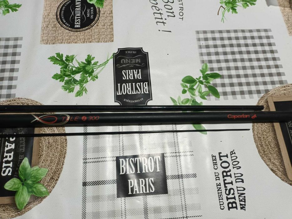 Canas de pesca usadas