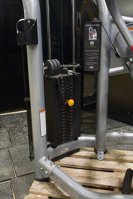Matrix G3-S45 Triceps Extension