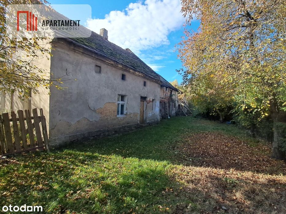 Dom na wsi do remontu z 5,5 ha ziemi.