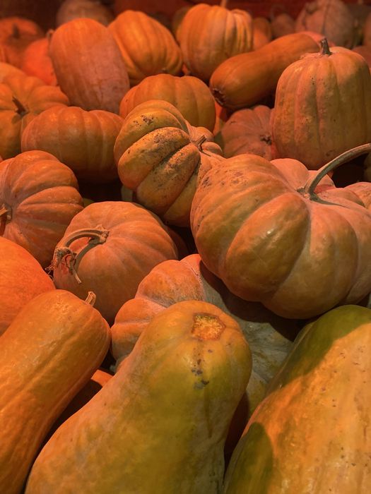 Продам кашний гарбуз