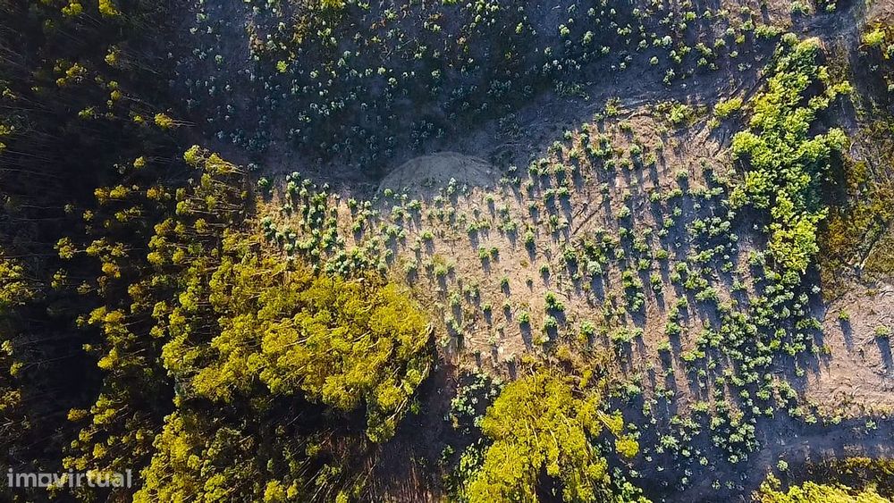Terreno  para venda