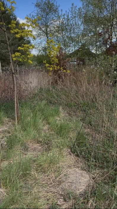 Izbica k. Serocka i Jachranki  | 1605 m² | pozwolenie na budowę + projekt domu w cenie